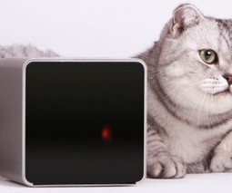 Life after Kickstarter: How Petcube is preparing its pet-focused gadget for the mass market | consumer psychology | Scoop.it