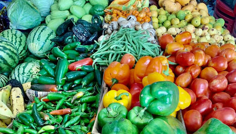 F&L : Bananes, tomates, melons... Comment nous avons façonné les fruits et légumes que nous consommons | FRUITS ET LÉGUMES | Scoop.it