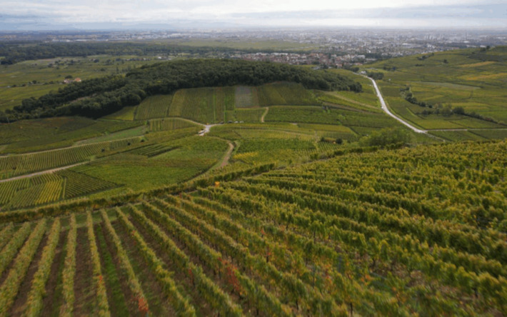 Sale temps pour la planète : l’Alsace face au changement climatique, découvrez ses solutions innovantes ! | Tourisme durable | Scoop.it