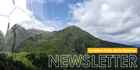 Lettre d'info de la R&eacute;serve Naturelle du Montious - Juin 2026 | Vall&eacute;es d'Aure & Louron - Pyr&eacute;n&eacute;es | Scoop.it