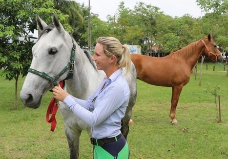 A todo galope inicia Expo Caballo - La Nación.com.py | Caballo, Caballos | Scoop.it