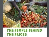 Oxfam realiza prueba piloto de evaluación de impacto en DD.HH. de empresa italiana | ComunicaRSE | Evaluación de Políticas Públicas - Actualidad y noticias | Scoop.it
