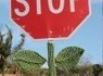 Mystery Man 'Yarn Bombing' City Must Be Stopped Officials Say | Strange days indeed... | Scoop.it