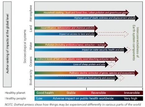 There's a lot of bad news in the UN Global Environment Outlook, but a sustainable future is still possible | Global Sustainable Development Goals in Education | Scoop.it