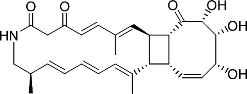Tripartilactam, a Cyclobutane-Bearing Tricyclic Lactam from a Streptomyces sp. in a Dung Beetle&rsquo;s Brood Ball | Natural Products Chemistry Breaking News | Scoop.it