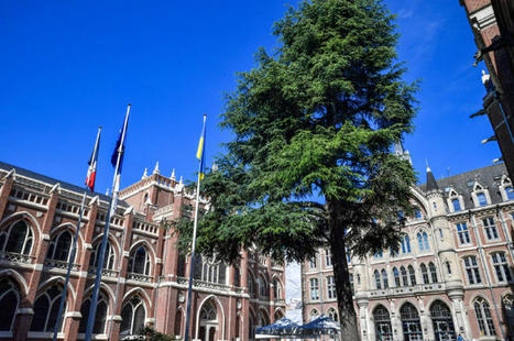 S&rsquo;engager pour la transition &eacute;cologique et soci&eacute;tale / Actualit&eacute;s - Ville de Lille : adresses, horaires, calendriers et histoire | Universit&eacute; Catholique de Lille | Scoop.it