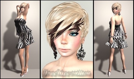 Zebra | Second LIfe Good Stuff | Scoop.it