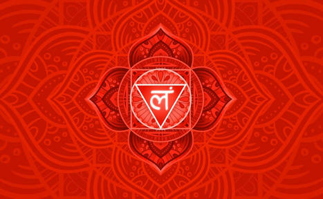 Root Chakra Manual - All about the first chakra Mooladhara | Ashtanga Yoga Rishikesh AYR | Scoop.it