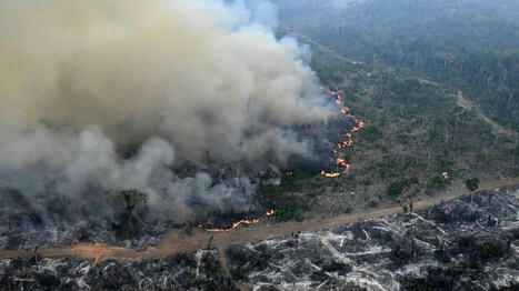 Au Brésil, les incendies en cours en Amazonie battent un record d'émission de carbone | Prospectives et nouveaux enjeux dans l'entreprise | Scoop.it