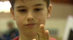 &Acirc;g&eacute; de 12 ans, Lucas est d&eacute;j&agrave; entomologiste | Vari&eacute;t&eacute;s entomologiques | Scoop.it