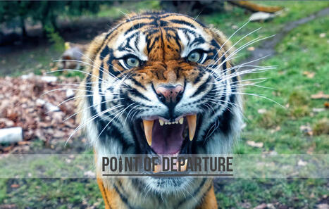 Anger Management: 10 Healthy Ways to Channel Your Outrage | Stress Management | Scoop.it