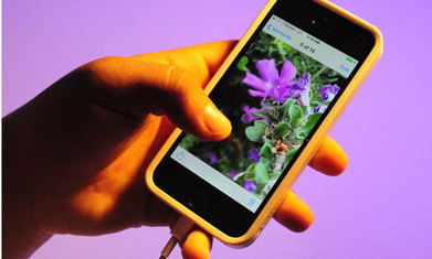 Why is Apple so shifty about how it makes the iPhone? | Ethical Issues In Technology | Scoop.it
