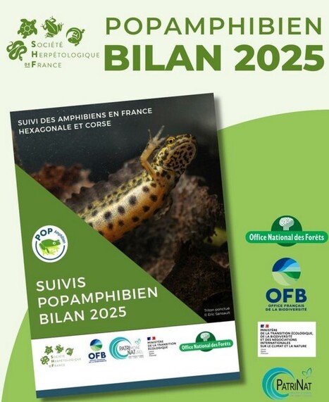 Programme POPAmphibien -&nbsp;&nbsp;Soci&eacute;t&eacute; Herp&eacute;tologique de France | Biodiversit&eacute; | Scoop.it