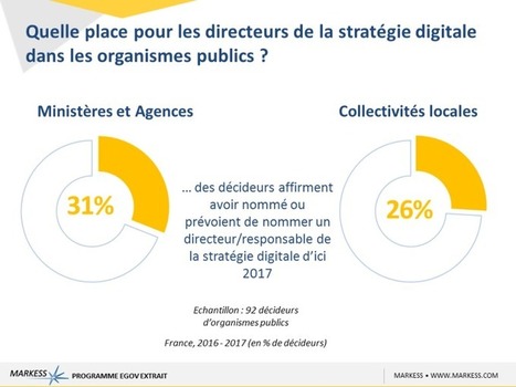 Quelle place pour les directeurs de la stratégie digitale dans les organismes publics ? | information analyst | Scoop.it