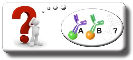 Introduction to Flow Cytometry and some aplicaciones ! Innova Biosciences | Immunology Diagnosis | Scoop.it