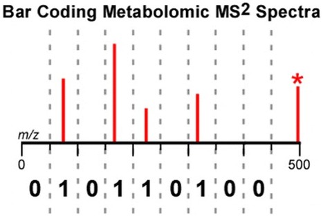 Bar Coding MS2 Spectra for Metabolite Identification - Analytical Chemistry | Natural Products Chemistry Breaking News | Scoop.it