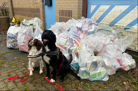 Illicit tobacco and nicotine vape haul seized | North Lanarkshire Council | In the news: data in the UK Data Service collection across the web | Scoop.it