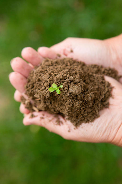 La Commission lance l’Observatoire européen des sols pour surveiller la santé des sols en Europe | Les Colocs du jardin | Scoop.it