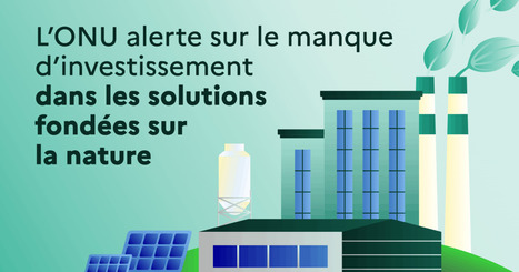 L&rsquo;urgence de r&eacute;orienter les financements mondiaux pour prot&eacute;ger la nature | Paysage - Agriculture | Scoop.it