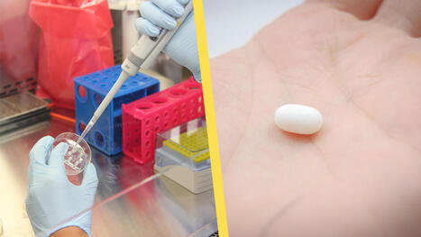 Vanligt förekommande läkemedel kan rensa kroppen på PFAS » Samnytt | 1Uutiset - Lukemisen tähden | Scoop.it