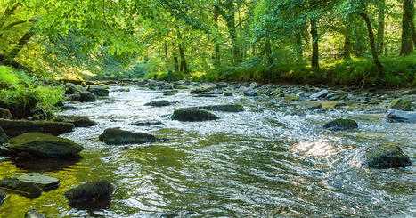 Bon état des eaux et gestion des inondations : lancement de la consultation publique | Biodiversité | Scoop.it