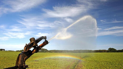 L&rsquo;agriculture face &agrave; la s&eacute;cheresse&nbsp;: &laquo;&nbsp;Croire qu&rsquo;il suffit de stocker l&rsquo;eau pour r&eacute;soudre le probl&egrave;me est illusoire&nbsp;&raquo; - Ouest France [Abonn&eacute;s] | Agriculture en Pays de la Loire | Scoop.it