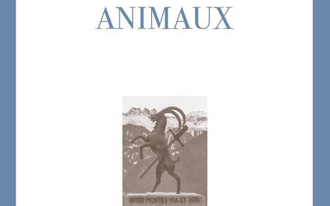 Piero Martinetti : L'&Acirc;me des animaux | Insect Archive | Scoop.it