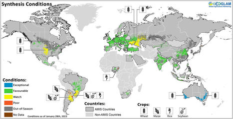 Crop Monitor for AMIS No. 102: Published February 2nd, 2023 (GEOGLAM) | MED-Amin network | Scoop.it