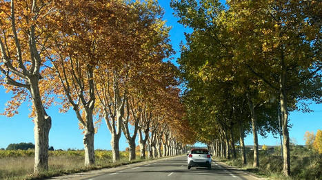 UZÈGE-PONT DU GARD La poursuite du projet de parc naturel régional suspendue | Parcs nationaux, régionaux et autres espaces naturels protégés | Scoop.it