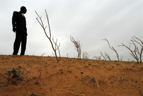 Despite being “the biggest threat facing humanity” climate change and its impacts fail to make headlines, says IFAD study | International development | Scoop.it