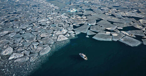 Arctic sea ice hits lowest winter level as unprecedented heat smashes records all over Earth - NBC News | Operation Deimos | Scoop.it