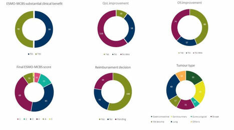 Beneficio clínico y financiación de medicamentos oncológicos en España ¿estamos financiando fármacos relevantes? – | Evaluación de Políticas Públicas - Actualidad y noticias | Scoop.it