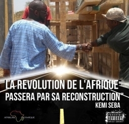 Pr&eacute;sentation actions de d&eacute;veloppement global en Afrique par Afrikan Mosaique &ndash; Kemi Seba | Actions Panafricaines | Scoop.it