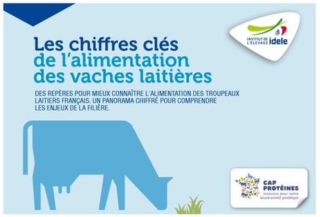 Idele : Les chiffres clés de l'alimentation des vaches laitières | Lait de Normandie... et d'ailleurs | Scoop.it