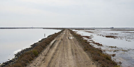 Portraits d'un monde &eacute;branl&eacute; par le changement climatique | Environnement - &Eacute;nergie | Scoop.it