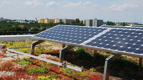 La toiture végétalisée maintient le rendement des installations photovoltaïques | Build Green, pour un habitat écologique | Scoop.it