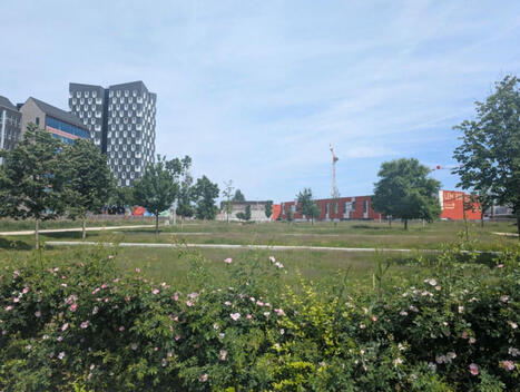 "Le seul espace où l'on peut respirer" : à Aubervilliers, le parc du campus Condorcet va-t-il disparaître ? | Actualités Seine-Saint-Denis | Scoop.it