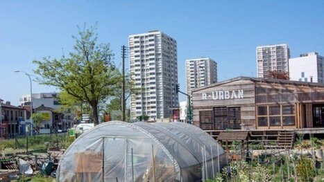 VIDEO. Colombes : un parking &agrave; la place du jardin associatif | Paysage - Agriculture | Scoop.it