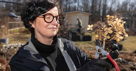 Kev&auml;t on etuajassa, mutta maa on viel&auml; roudassa &ndash; huomioi n&auml;m&auml; asiat puutarhassasi | Kotimaa | Yle | 1Uutiset - Lukemisen t&auml;hden | Scoop.it