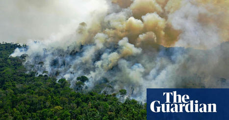 Amazon rainforest now emitting more CO2 than it absorbs | Amazon rainforest | The Guardian | Stage 5 Sustainable Biomes | Scoop.it