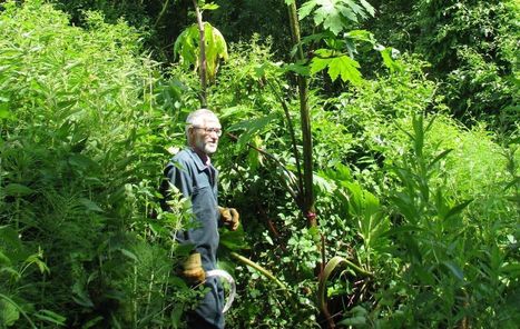 Oise : attention ! Les plantes exotiques envahissent le département | Biodiversité | Scoop.it