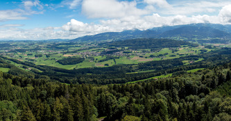 Forêts : l'IGN publie un nouvel outil cartographique | Urbanisme - Aménagement - SIG | Scoop.it