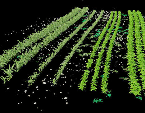 Simplifier l’agriculture grâce à la réalité augmentée – AgroTIC | Pour innover en agriculture | Scoop.it