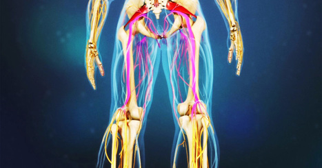 How NOT To Fix Sciatica (Piriformis Stretch) | El Paso Back Clinic&reg; &bull; 915-850-0900 | Sciatica "The Scourge & The Treatments" | Scoop.it