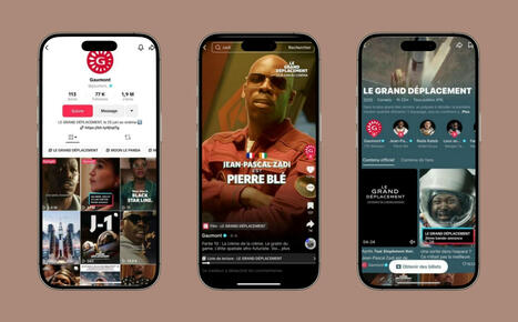 TikTok inaugure sa fonctionnalité «Spotlight» en France | Réseaux sociaux | Scoop.it