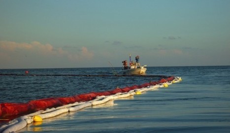 Collaboration to Save the Seas: the open-source boat project Protei | Economie Responsable et Consommation Collaborative | Scoop.it