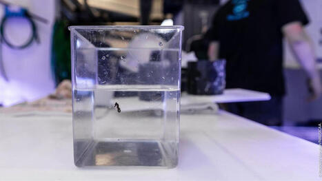 Nausica&aacute; : dans les coulisses de l&rsquo;aquarium du futur, loin du spectacle | Biodiversit&eacute; - @ZEHUB on Twitter | Scoop.it
