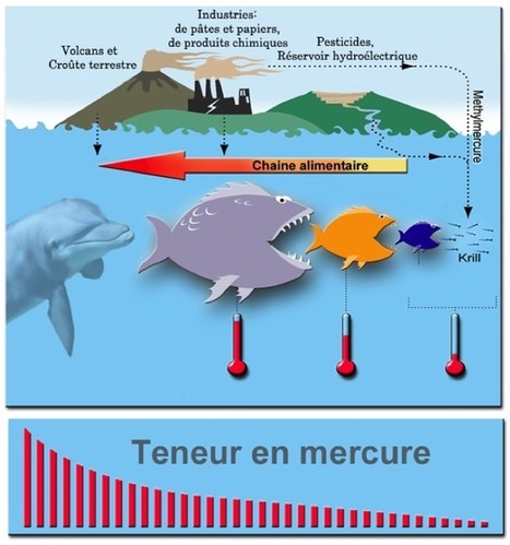 Quand l'industrie contamine au mercure des populations enti&egrave;res / 22.04.2017 | Pollution accidentelle des eaux par produits chimiques | Scoop.it