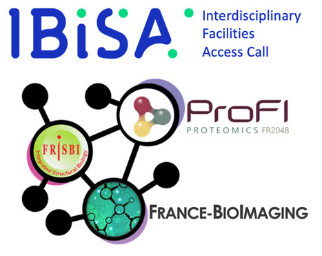 FOCUS PLATEFORME : Appel d’offre interdisciplinaire pour un accès aux plateformes de biologie structurale, d'imagerie biologique et de protéomique | Life Sciences Université Paris-Saclay | Scoop.it