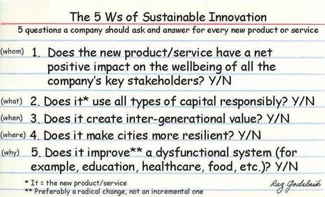 Sustainable Innovation: 5 Questions Every Company Should Ask Itself | Business Innovation | Scoop.it